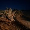 abdullah_fayd.1