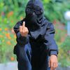 tmg.bishal14