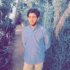 ali.hamza77165