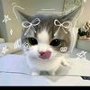 missyaa_5678