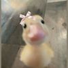 mariam_zahran0