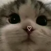 valeria_11290
