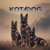 KOTADOG