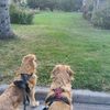 cooperandmarley_