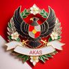 akas.995