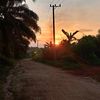 dizz_905