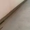 hzfretrjrl0