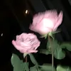 ayla46791