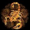 max_escorpion