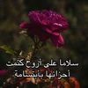 user44348378518405