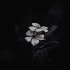 atlie_maka