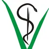 estudos.com.anna