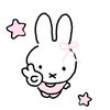 user86506004756961