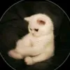 fati_2009_1