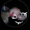 mirelhinha00