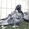 mohamedlaminediabate4