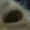 linhnek900