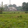 ucan0239