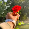 dsparves0