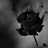 yin_n_1