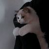 marya__2009