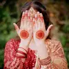 ayesha.ali_143