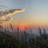 idcobongmay
