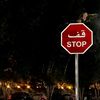 mahmood.sharif51