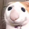 bongg_yeuune