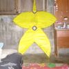 dfhhhr1155598566