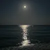 zinb_12340