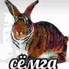 meow_meow_dumb335