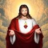 user295094541