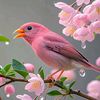 queenrabia868