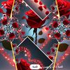 user805991767281
