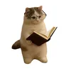 Chat’Explique