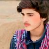rasad.pardesi