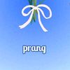 prang9930