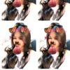 vynna_aa