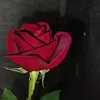 piavka_lumi
