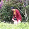 mai.hoang385