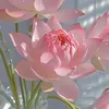 phuong_tha02405