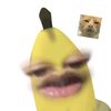 faizz7444