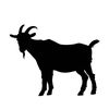 Clip Goat