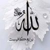 user8778520778781