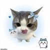 user8134109343393