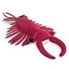 anomalocaris16