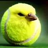 hdhdhdjdd36