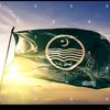 raja.moiz8975