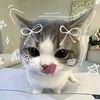 0o.sanrio_mirza.o0